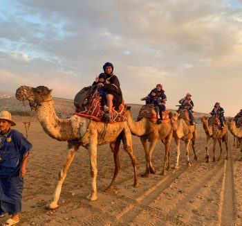 Sunset Camel Ride & BBQ in Tamri